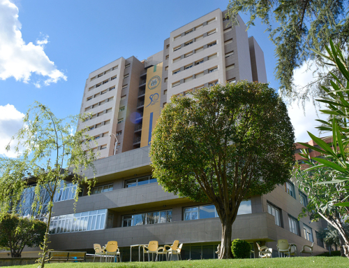 Más experiencias en el Colegio Mayor Mendel