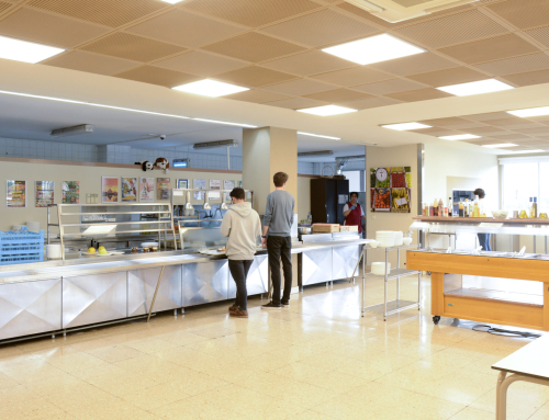 La importancia de una alimentación saludable en el Colegio Mayor