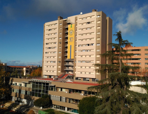 Tu experiencia universitaria empieza en el Mendel