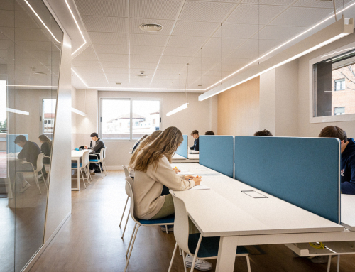 ¿Qué estudiamos en el Mendel?